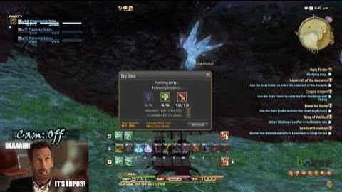 Getting  trolled by Duty Finder (FFXIV:ARR)