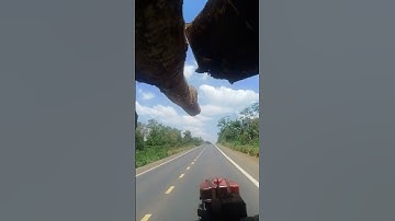 Xe công nông chở gỗ muồng #côngnônglốpđôi #côngnôngđăklăk #cơkhíkưêban #automobile