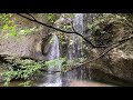 茨城県常陸大子町・月待の滝もみじ苑・そばの花、田んぼの風景。