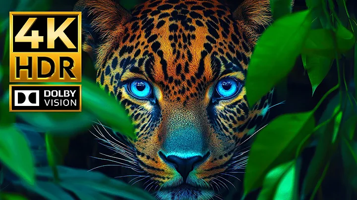 Stunning 4K ANIMAL Video | Dolby Vision HDR 4K 60FPS Video | Cinematic Sound thumbnail