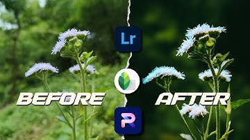 Mobile photo editing tutorial | blur photo background | Lightroom color grading | PhotoRoom edit