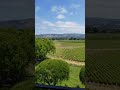 May 9th 2019 Napa Valley