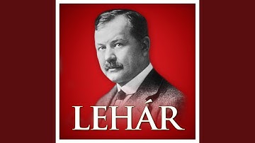 The Merry Widow, Act I: Introduction - "Verehrteste Damen und Heren"