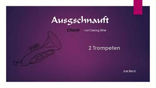 Ausgschnauft  von G. Birle