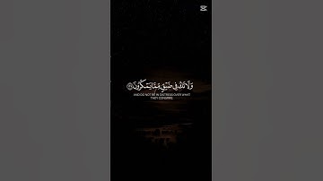 آيات القرآن الكريم ❤️ #quran #اكسبلور #tilawati354 #لايك #القرآن_الكريم #qurantilawat
