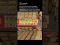 Industrial Mobile Brick Molding System