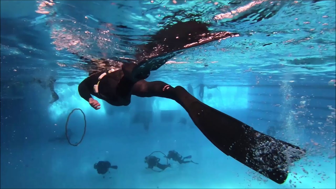 수원 프리다이빙(freediving) 교육 Padi basic freediver course YouTube