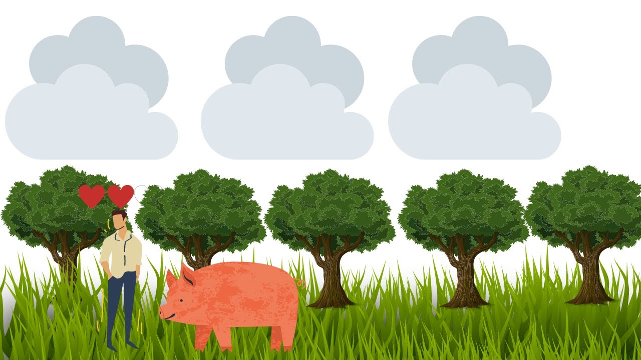 Minecraft, but animals ATTACK YOU! - YouTube