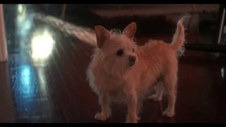 Vintage Lens Test: Topcon Topcor RE 35mm f/2.8 Sony FX30 lens test (Topcon)