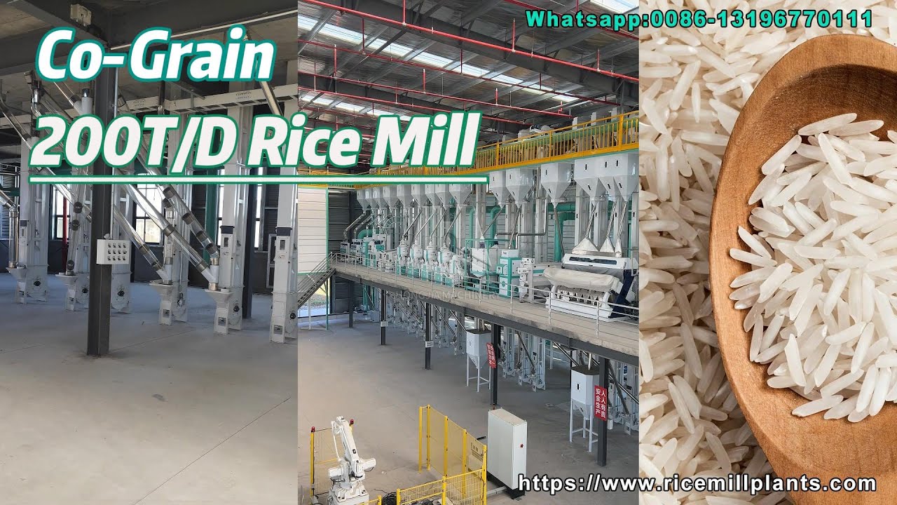 China Rice Factory 200T Rice Mill Plant | Rice Processing Machine Factory from China # ...