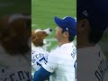 Decoy and Shohei with the cutest first pitch you've ever seen. 😭 #shoheiohtani #dodgers