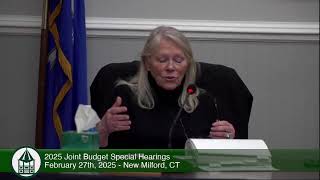 2025 Joint Budget Special Hearings | February 27th, 2025, New Milford, CT