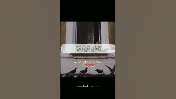 قران كريم بصوت جميل جدا- ما تيسر من  سورة هود