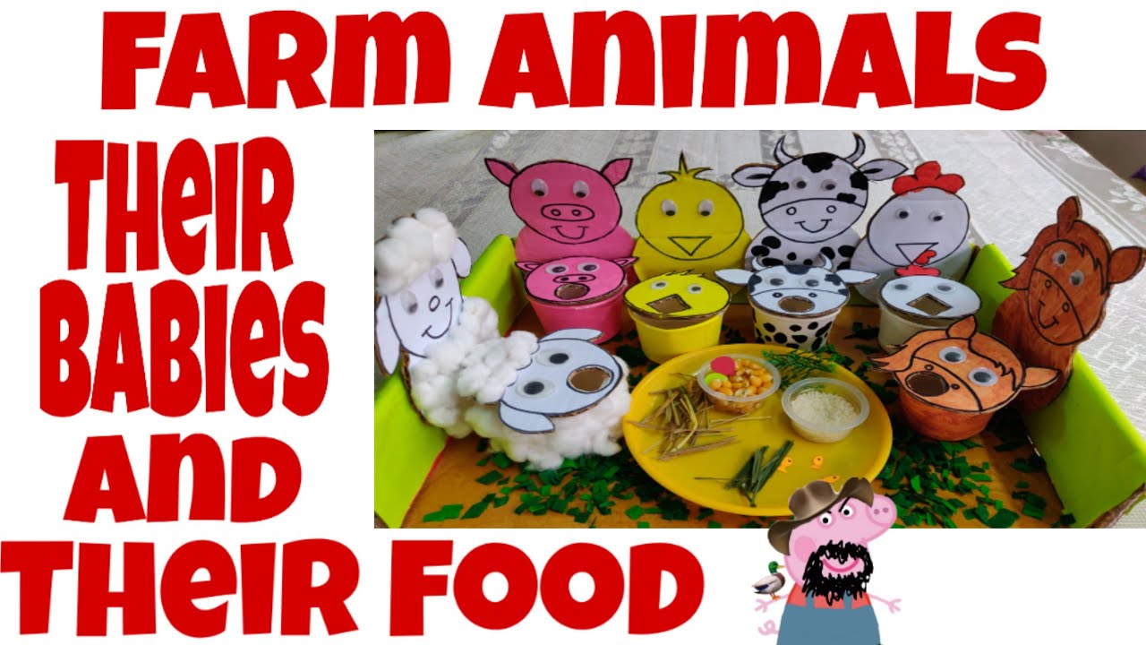 Farm animals their babies and their food YouTube
