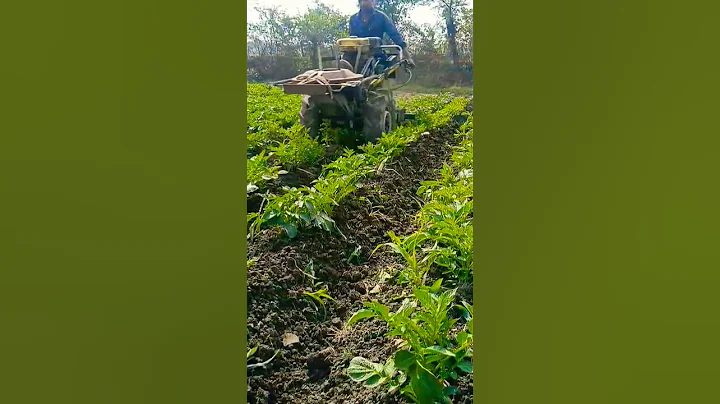 farming life 🌱👳#farming #viral #video #farmer #youtube #viralshorts #viralvideo
