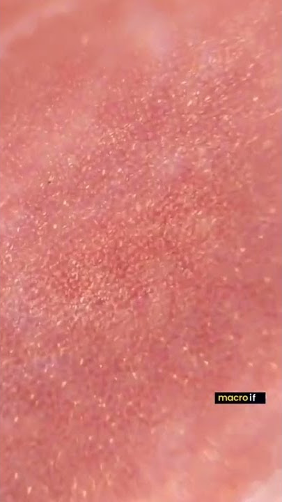 Kulit Manusia di Bawah Mikroskop #mikroskop #zoom #fyp #viral #videoviral #viralshorts