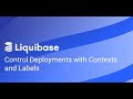 Labels and Contexts in Liquibase Business