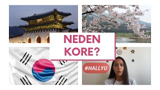 Koreas Strength- Neden Kore?