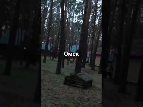 чернолучье