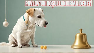 Pavlov’un Köpeği ve Klasik Koşullandırma Deneyi | Psikolojik Deneyler #2 Resimi