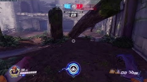 Moira v hog