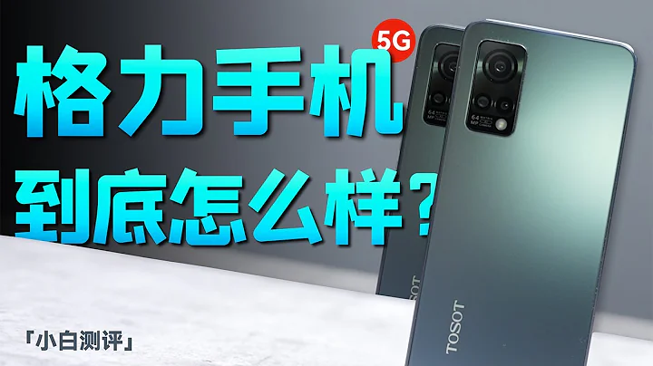 “小白测评” 花了3000块，不娱乐调侃，格力手机到底啥样？ - 天天要闻