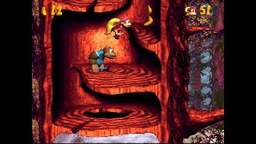 DKC3: Dixie
