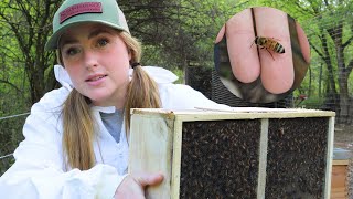 Install A Bee Package With Me! Beekeeping In Layens Horizontal Hive