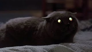 Pet Sematary - BBC Radio Dramatization (1997)