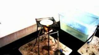 Group 4 Project (JGJB group) - Biofuels Method