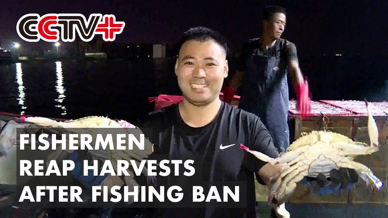East China Fishermen Reap Harvests After Summer Fishing Ban