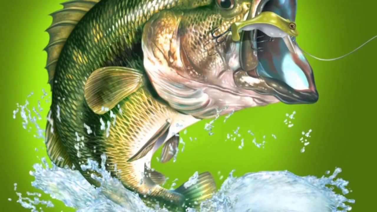 Fishing At Coyote Creek YouTube