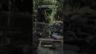 story whatsapp joko tingkir