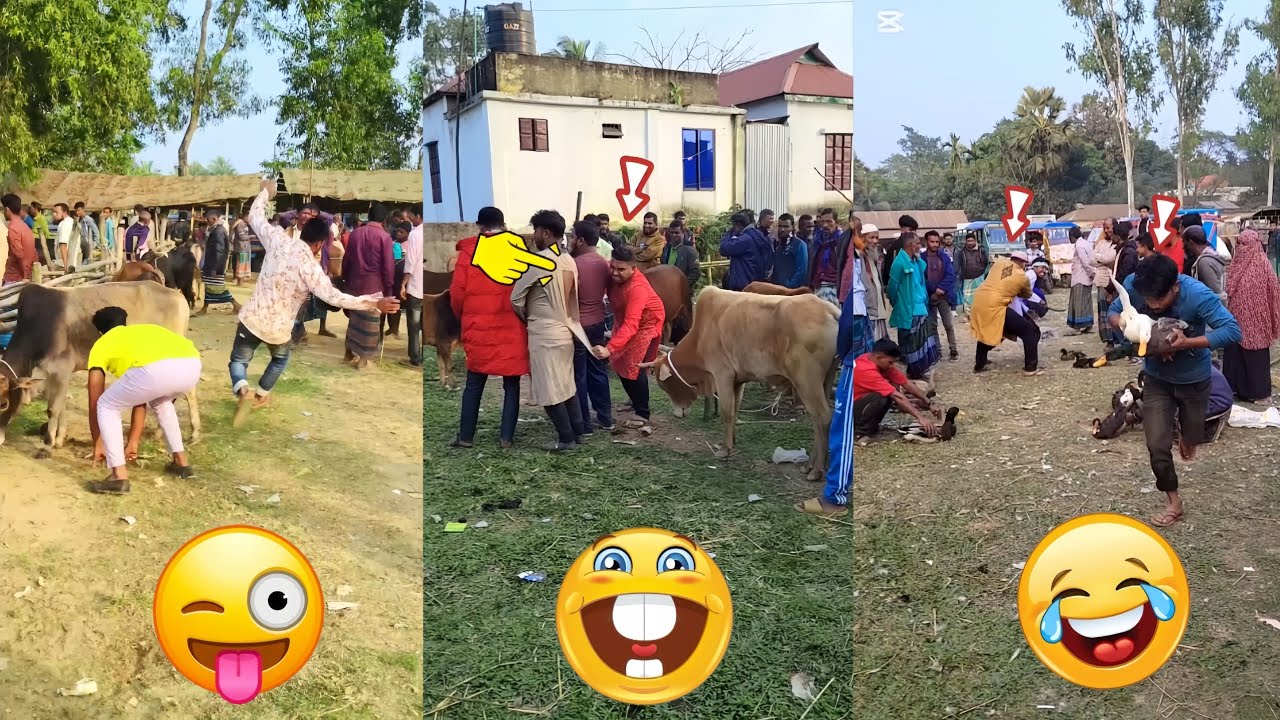 New trending funny videos 😂😅#funny #comedy 