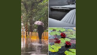 Subtle Rainy October