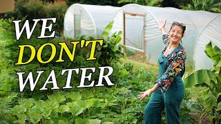The Truth About Growing Food Off-Grid After 10 Years