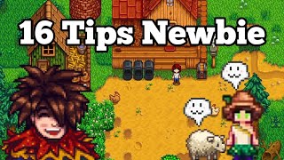 16 Tips for Stardew Valley Newbies