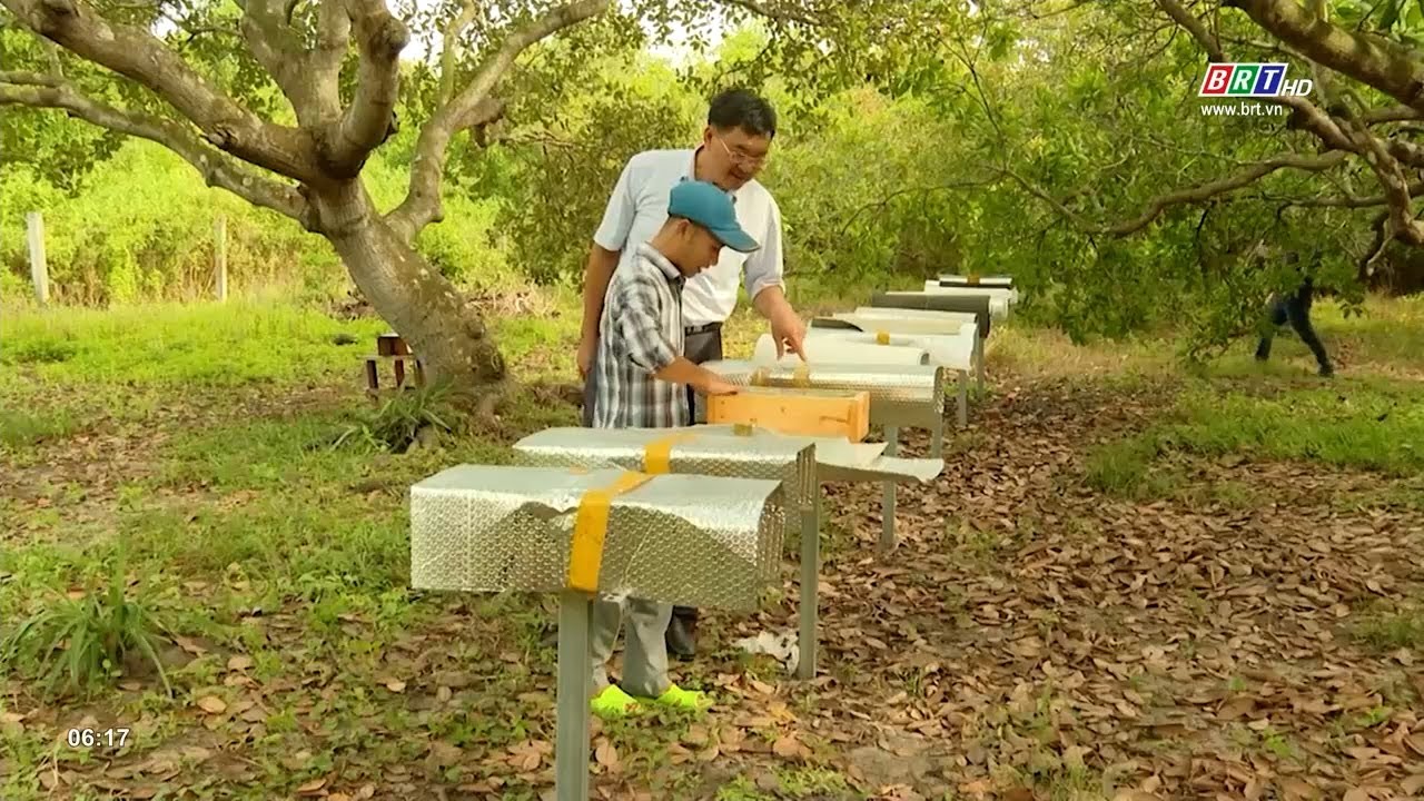 Anh nông dân nuôi ong Dú, thu hàng trăm triệu đồng mỗi năm | BRTgo