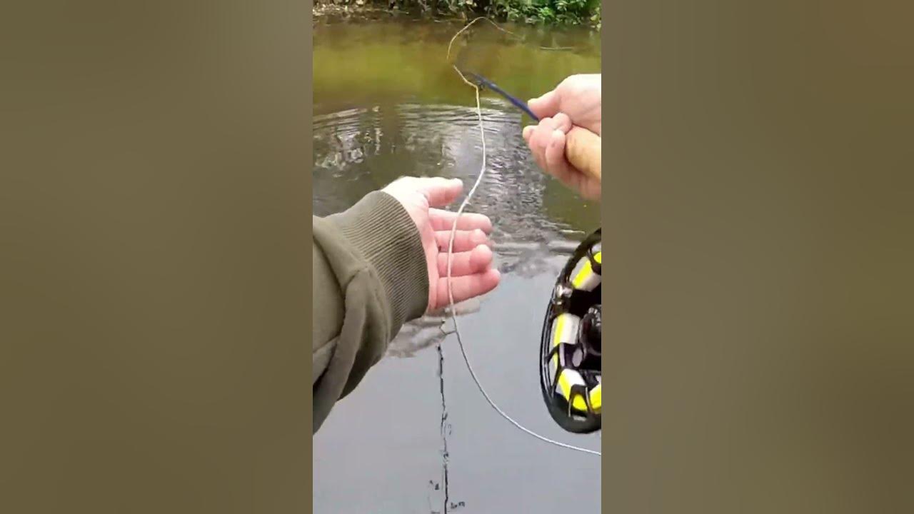 Pike Caught From River fishing fish pike The_ginger_fisherman YouTube