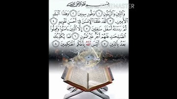 سورة التين للقارئ بيشةوا قادر الكردي