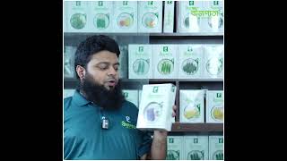 Eggplant Prices Skyrocket Rainbow Eggplant With Seed Leaves bizpata