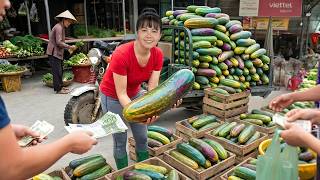 TIMELAPSE - Harvesting Fresh Cucumbers To Sell At Countryside Market – Village Farm Life