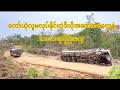 တော်ယုံလူမလုပ်နိုင်လောက်တဲ့ အခက်အခဲတွေနဲ့ လမ်းပေါ်က ကားဆရာကြီးတွေနဲ့ နေ့စဉ်ဘဝ