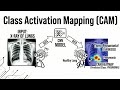 Class Activation Mapping (CAM)