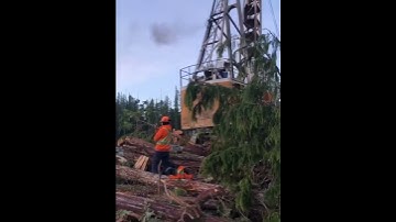 Tight spot! #westcoast #logging #cypress7230 #cypress7280 #gottaloveit