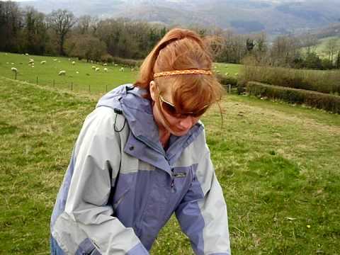 Kelly kettle camping on beeches farm (1)