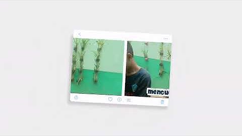 Pentingnya menjaga kebersihan lingkungan video tugas informatika dari kelompok 8 kelas VIII.3