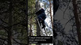 Самый опасный момент