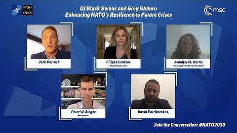 Of Black Swans & Grey Rhinos: Enhancing NATO’s Resilience to Future Crises | NATO 2030 Youth Summit