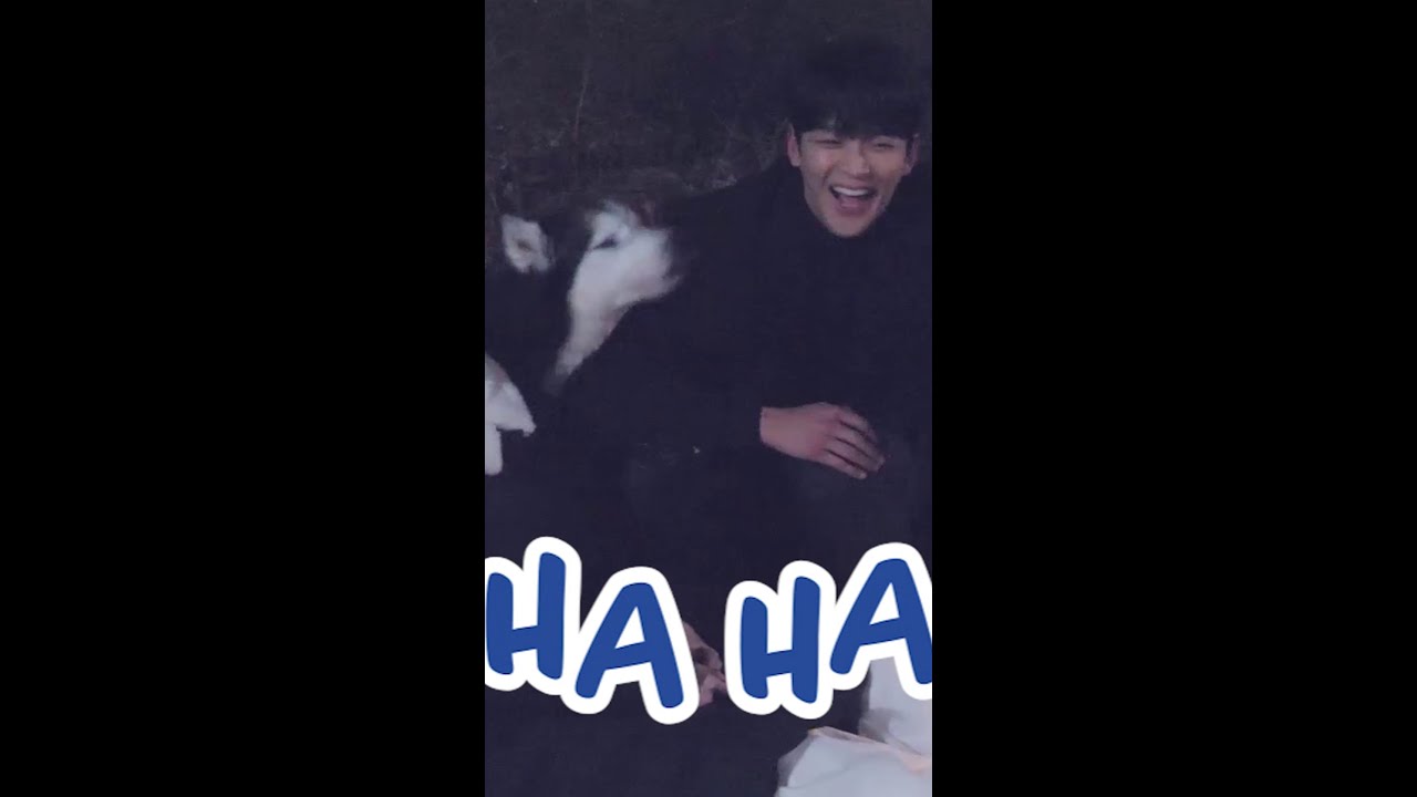 [Bloopers] Dogs never lie&hellip; Cho Bo-ah & Rowoon are good human | Destined With You Ep 5-6 [ENG]